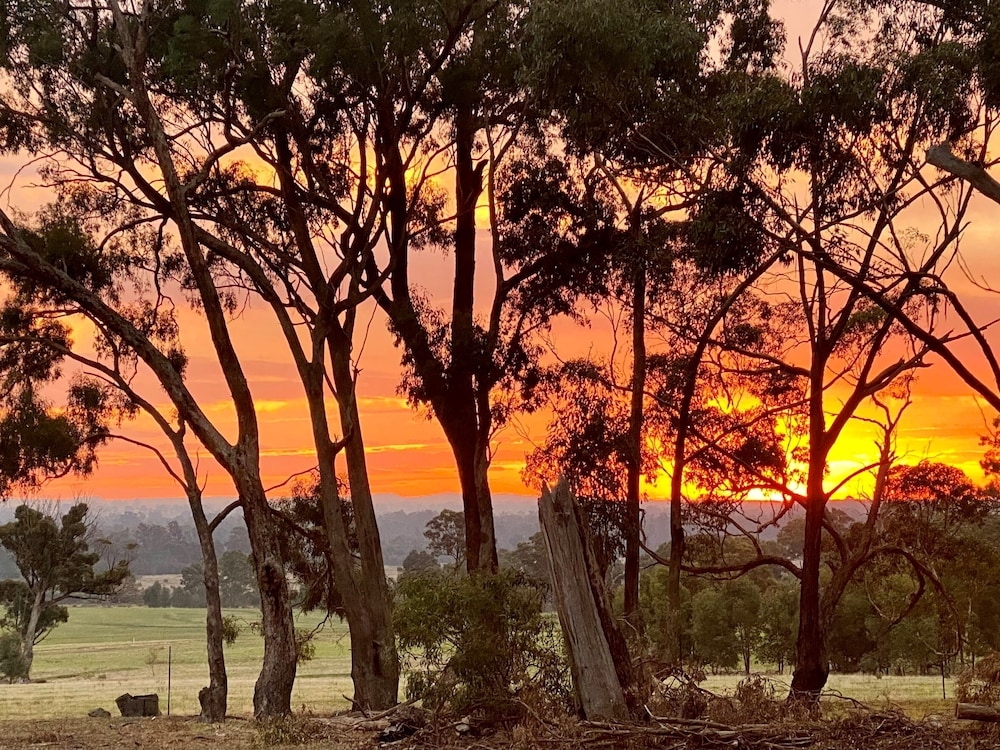 メイン イメージ