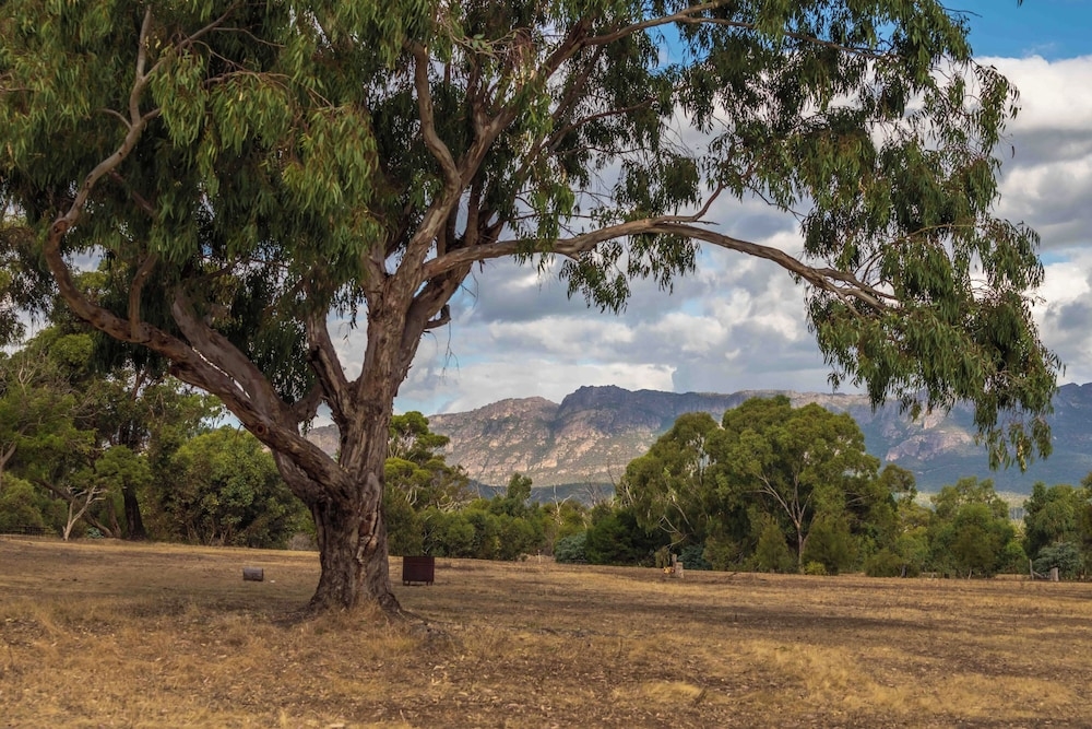 バルコニーからの眺望