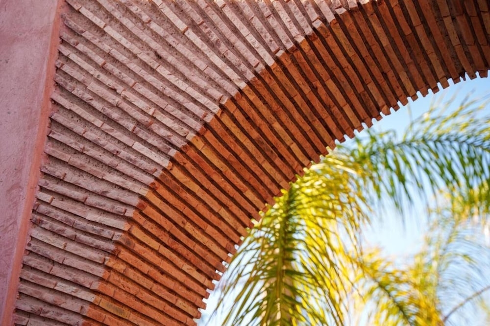 テラス / パティオ