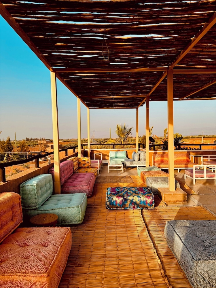 テラス / パティオ