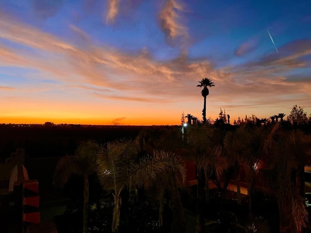 テラス / パティオ