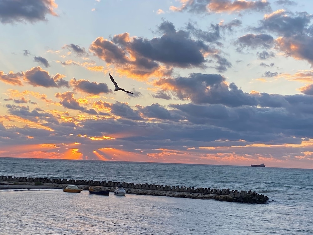 部屋からの景観
