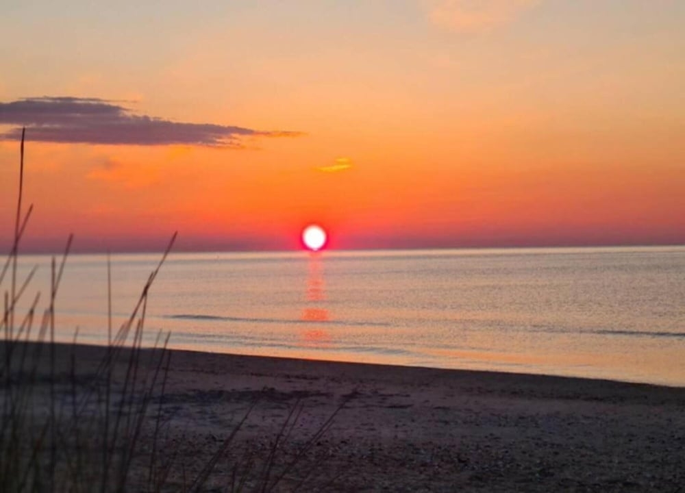 施設からの眺望