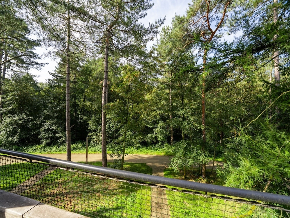 施設からの眺望