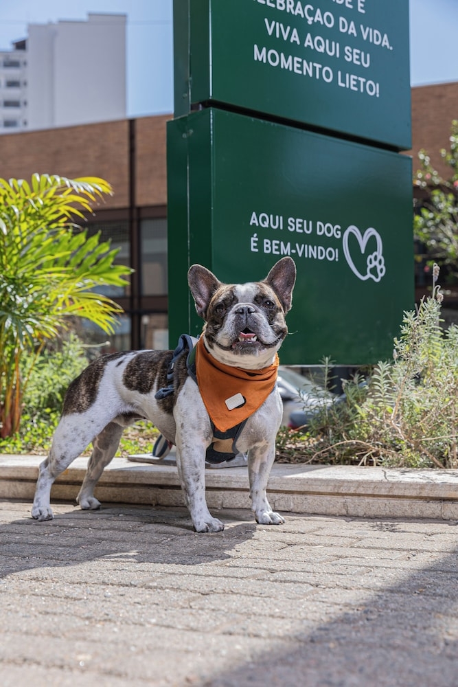 ペット用設備・サービス