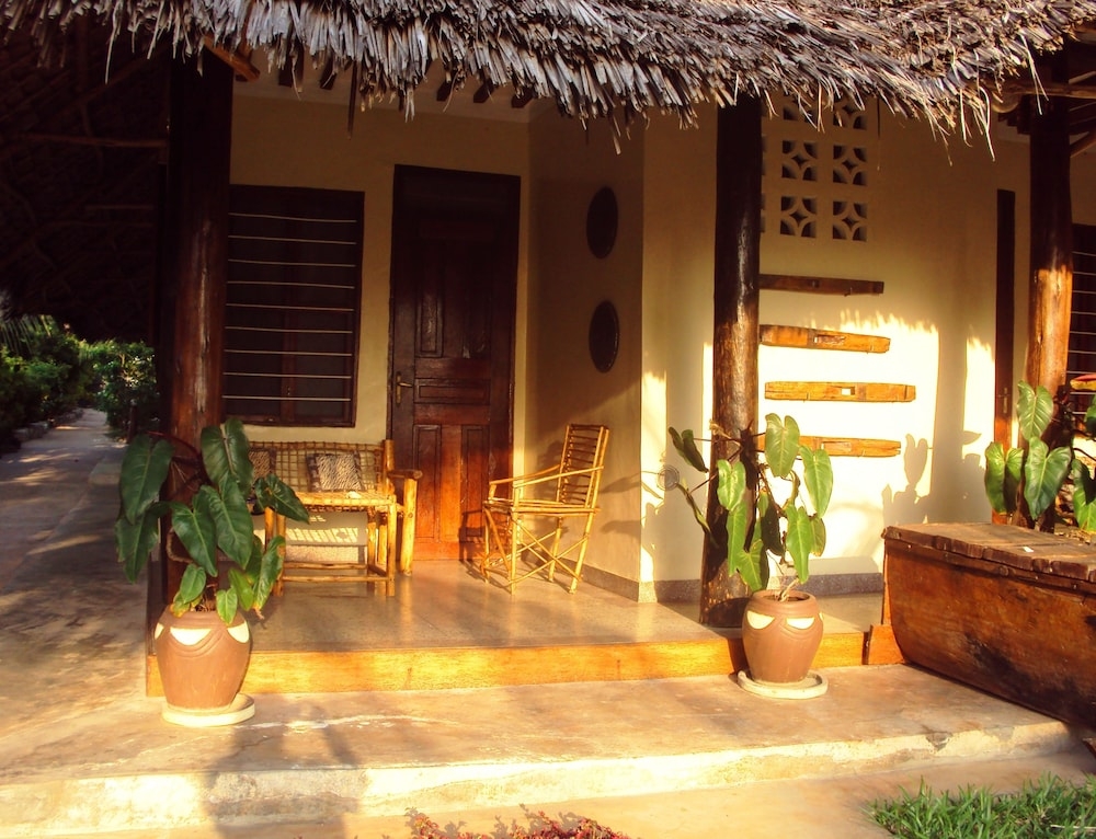 テラス / パティオ