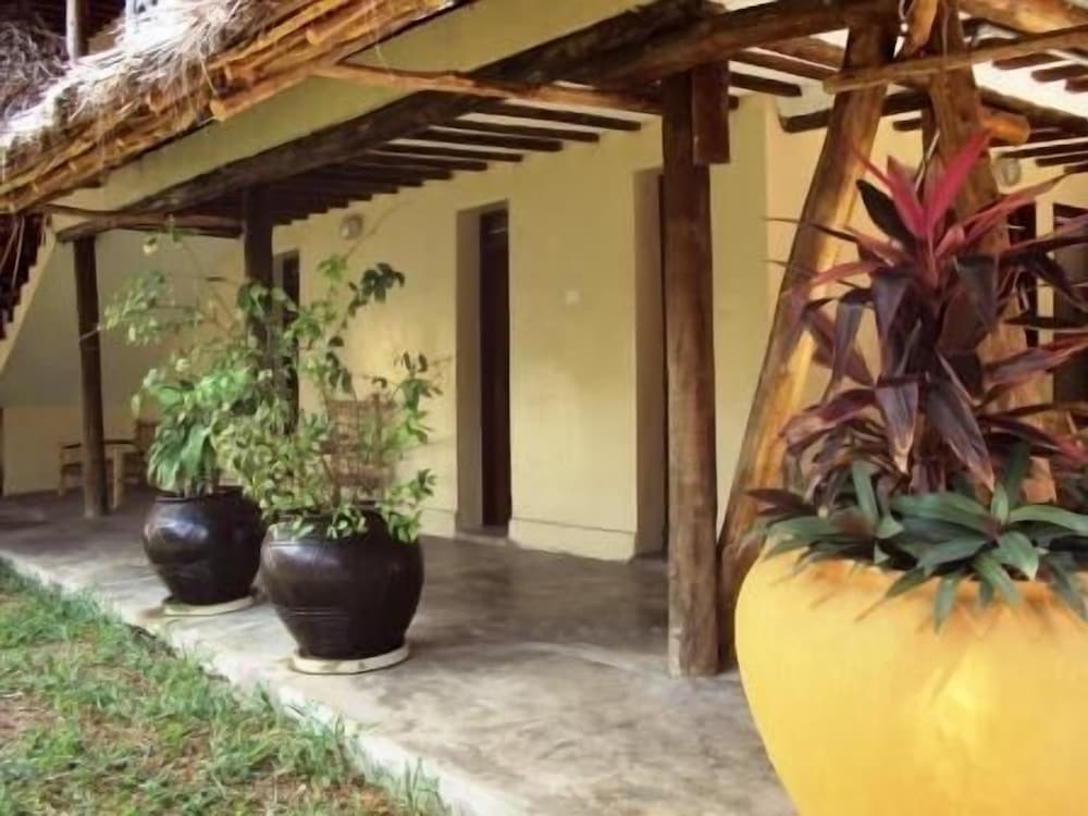 テラス / パティオ