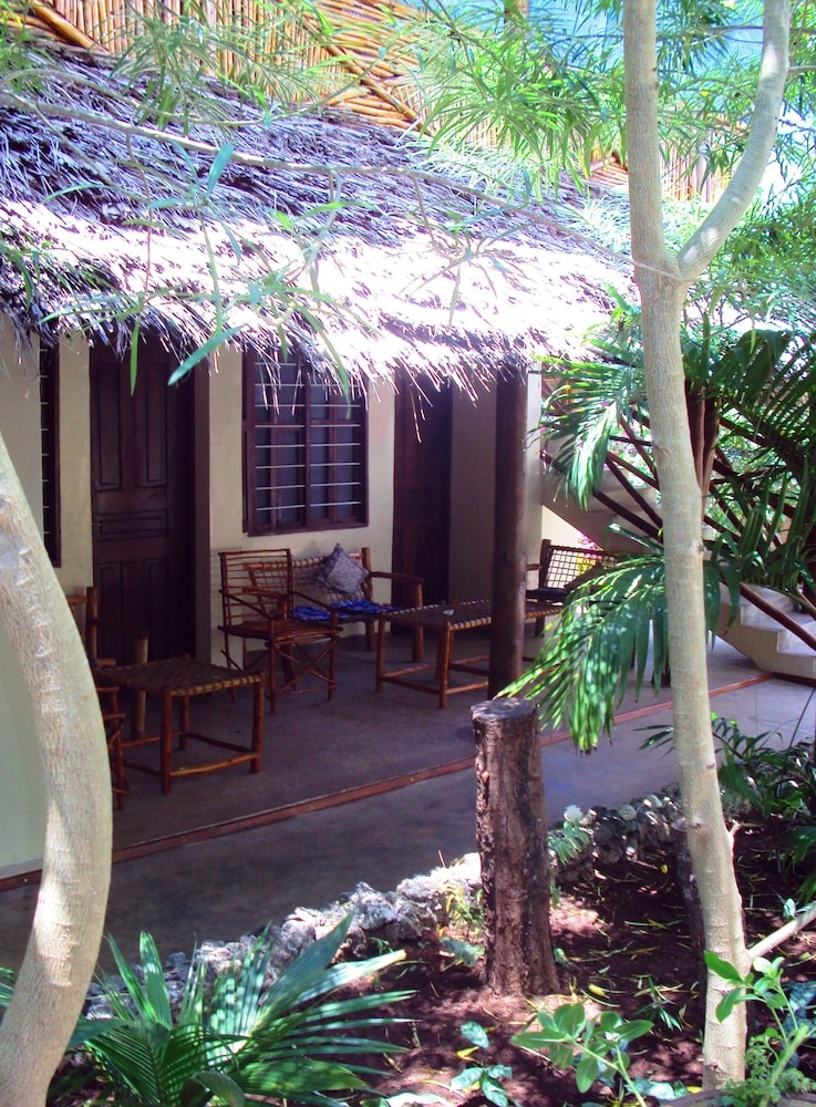 テラス / パティオ