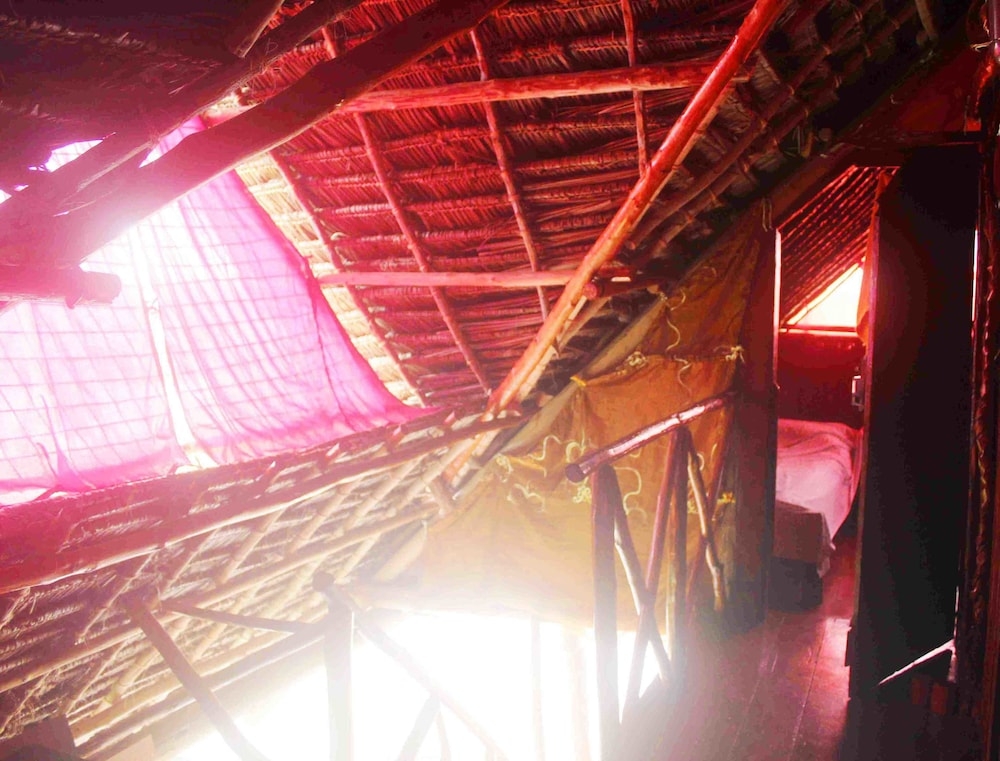 客室の設備とサービス