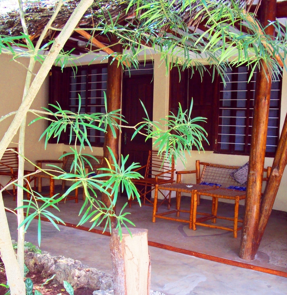 テラス / パティオ