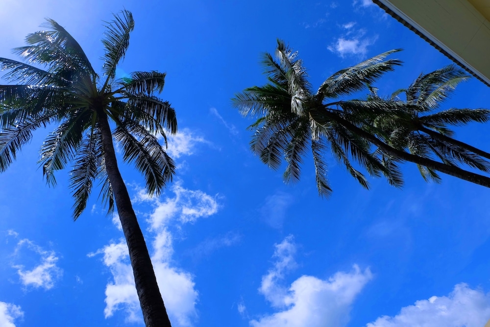 施設からの眺望