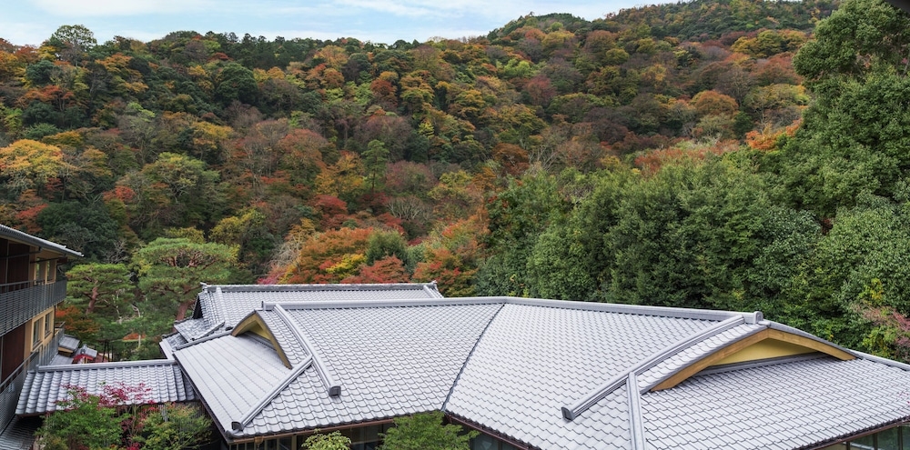 マウンテン ビュー