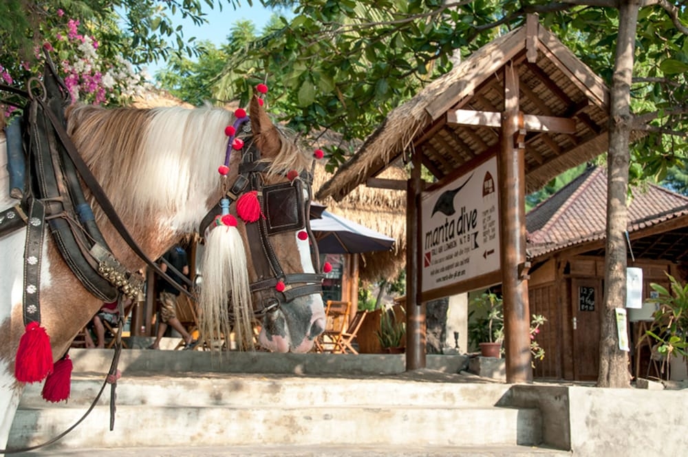 施設からの眺望