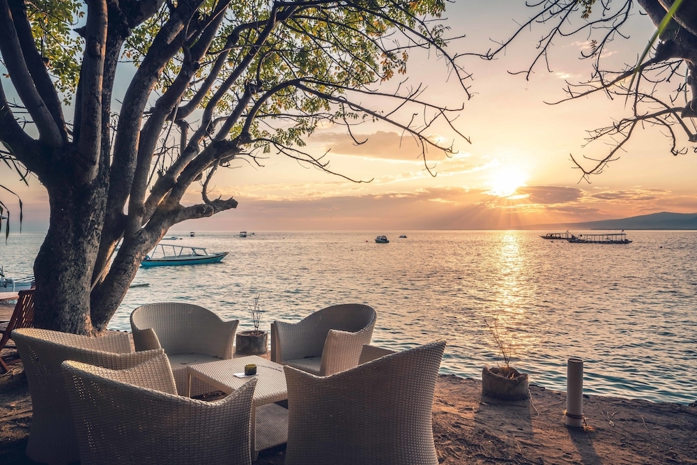 テラス / パティオ