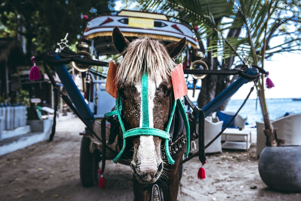 フェリー ターミナル シャトル
