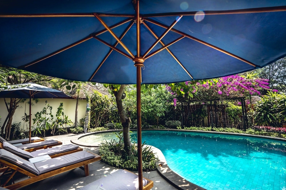 メイン イメージ