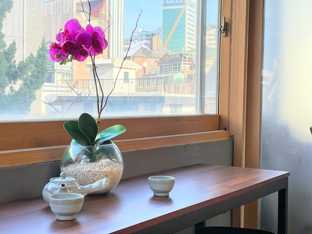 テラス / パティオ