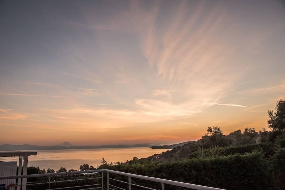 テラス / パティオ