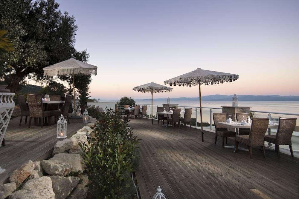 テラス / パティオ