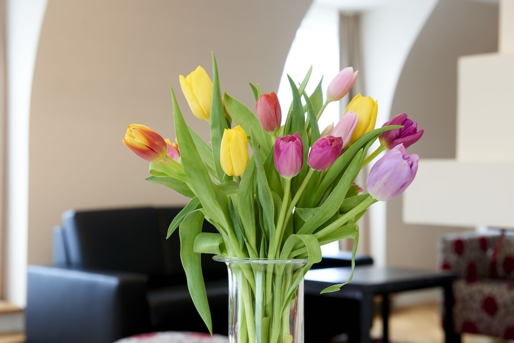 客室の設備とサービス