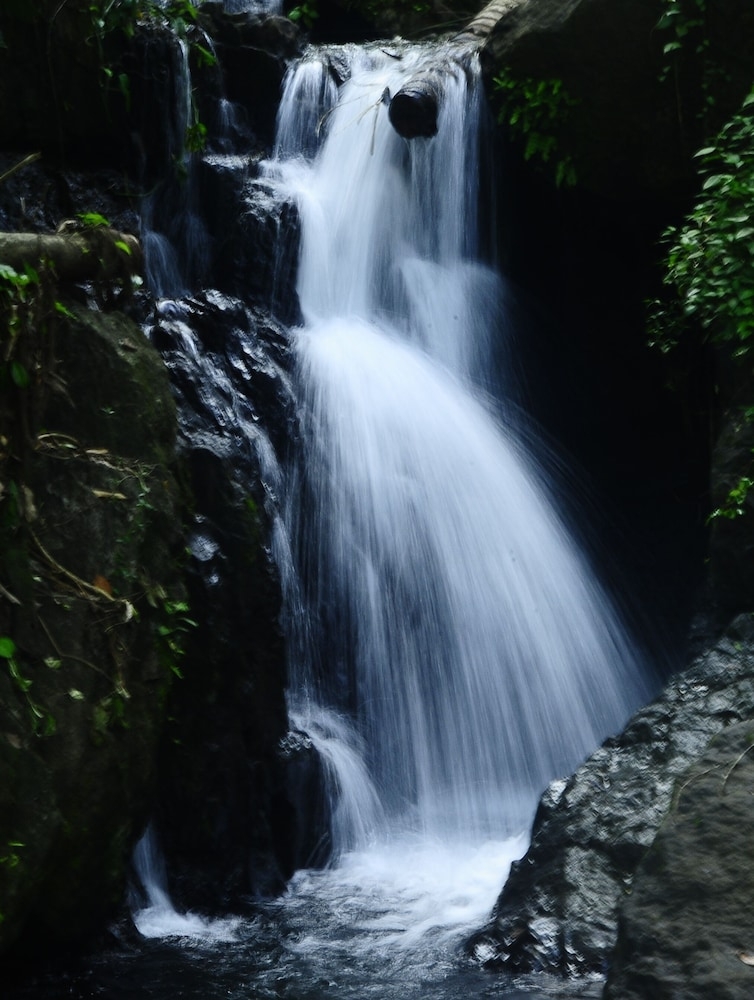 メイン イメージ