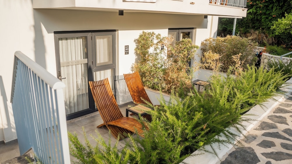 テラス / パティオ