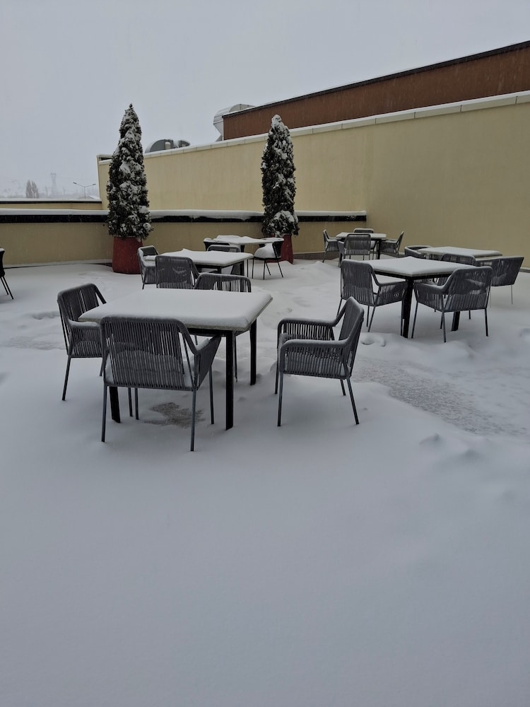 テラス / パティオ