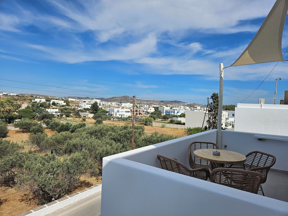 テラス / パティオ