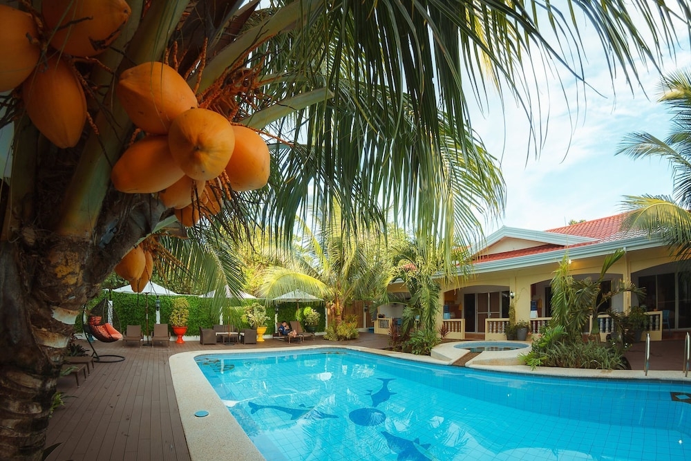 テラス / パティオ