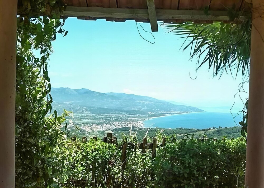 施設からの眺望