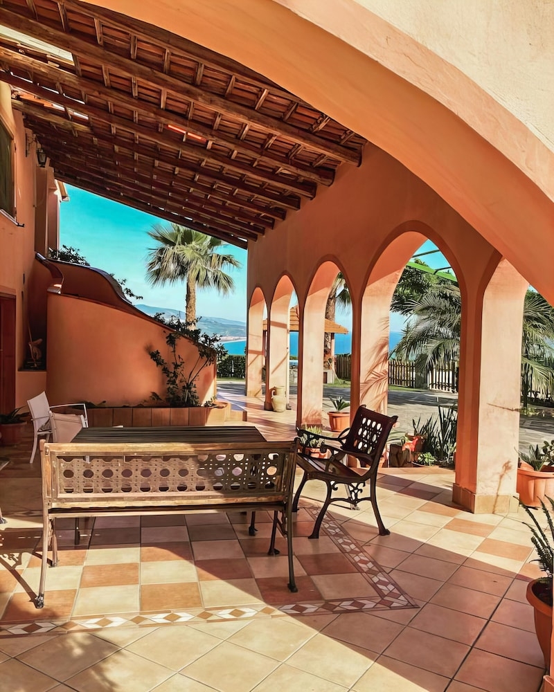 テラス / パティオ