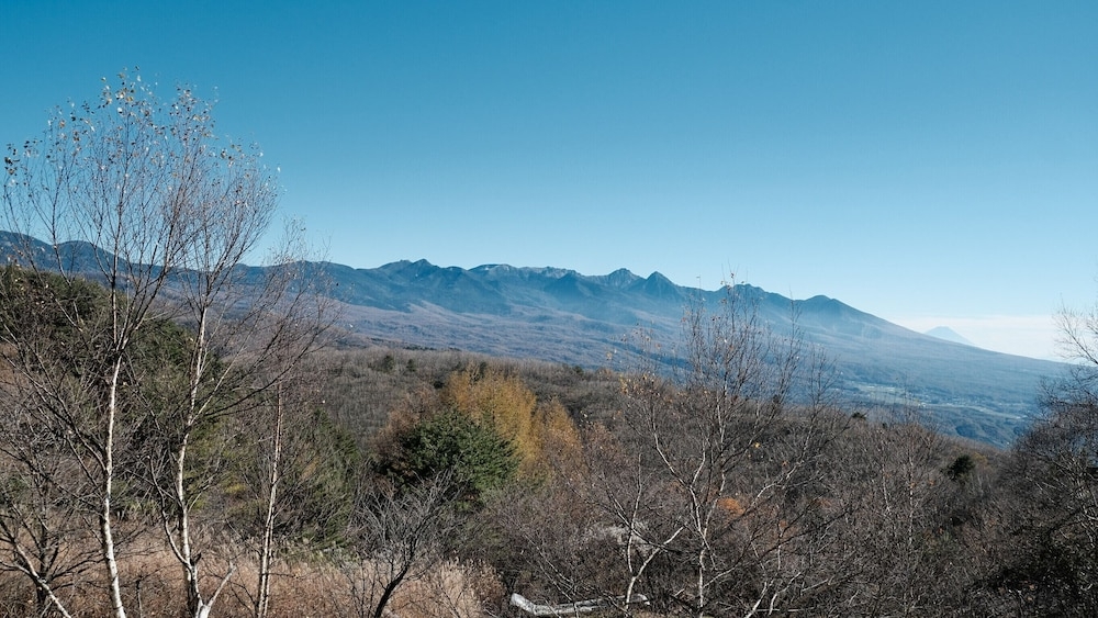 マウンテン ビュー