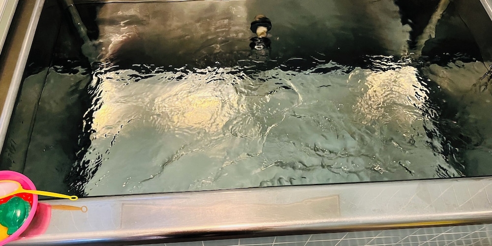 共用バスルーム