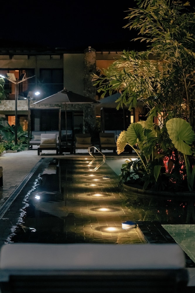 テラス / パティオ