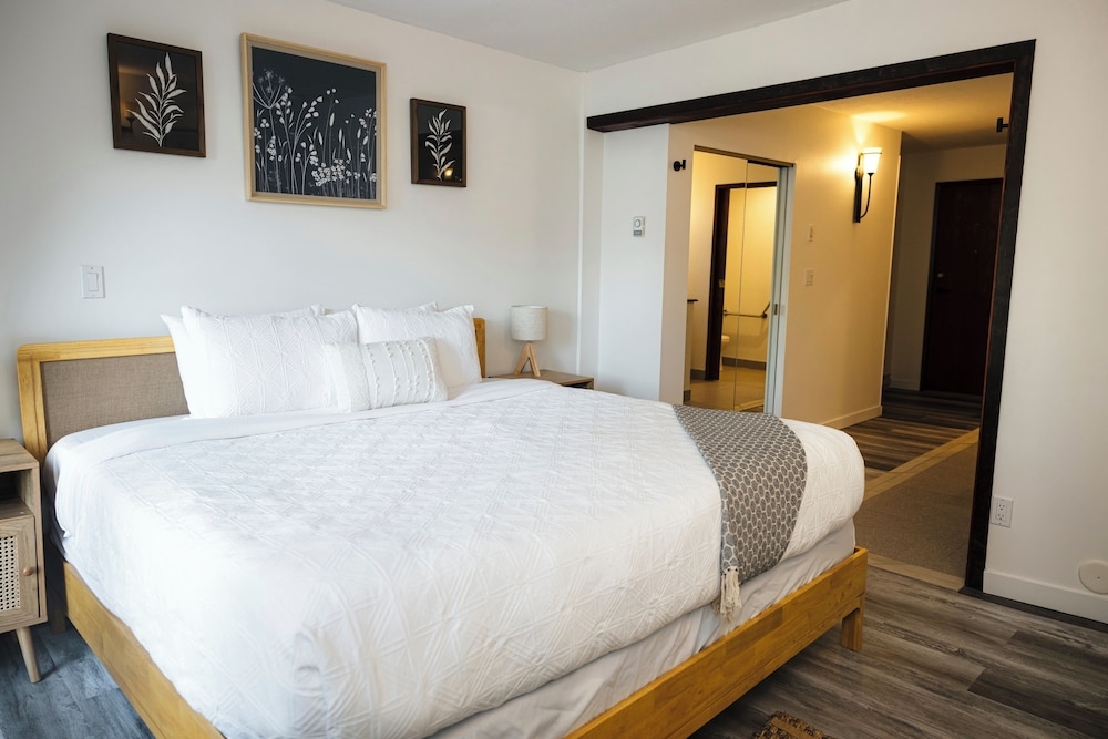 メイン イメージ