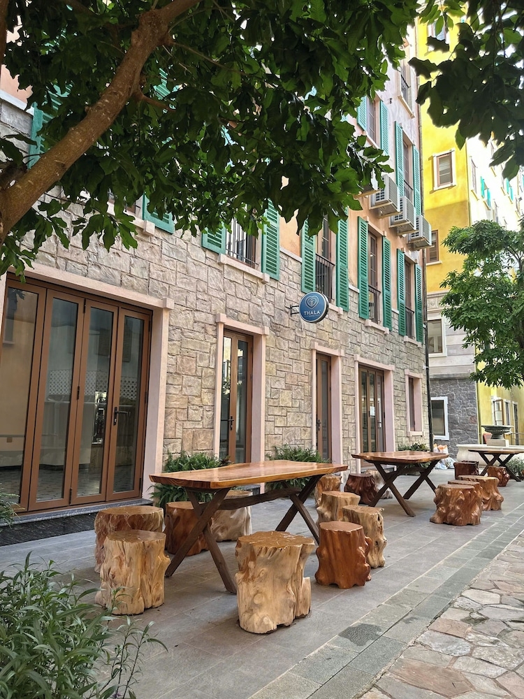 テラス / パティオ