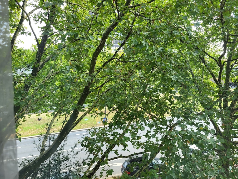 部屋からの景観