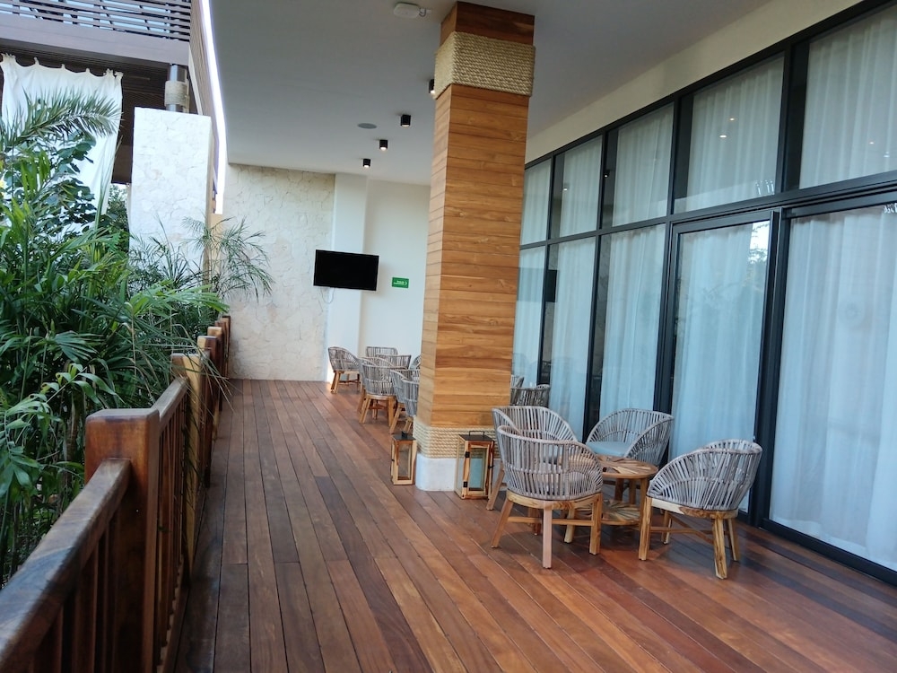 テラス / パティオ