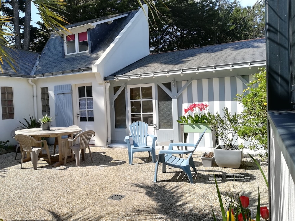 メイン イメージ