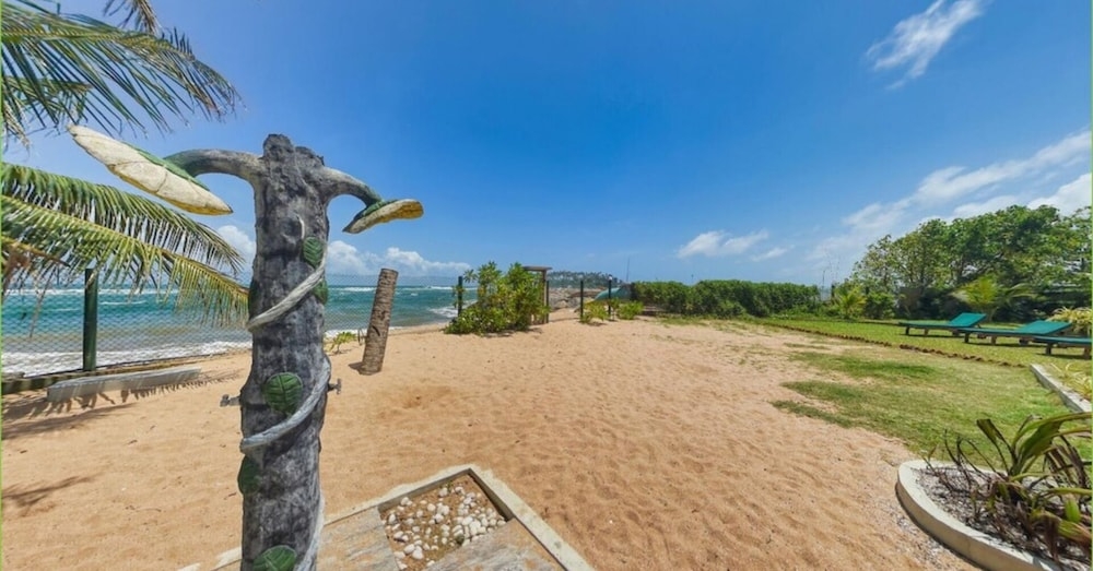 ガーデン ビュー