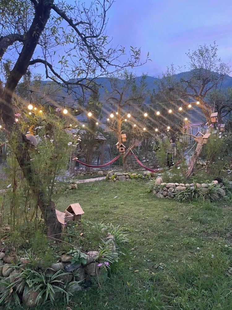 テラス / パティオ