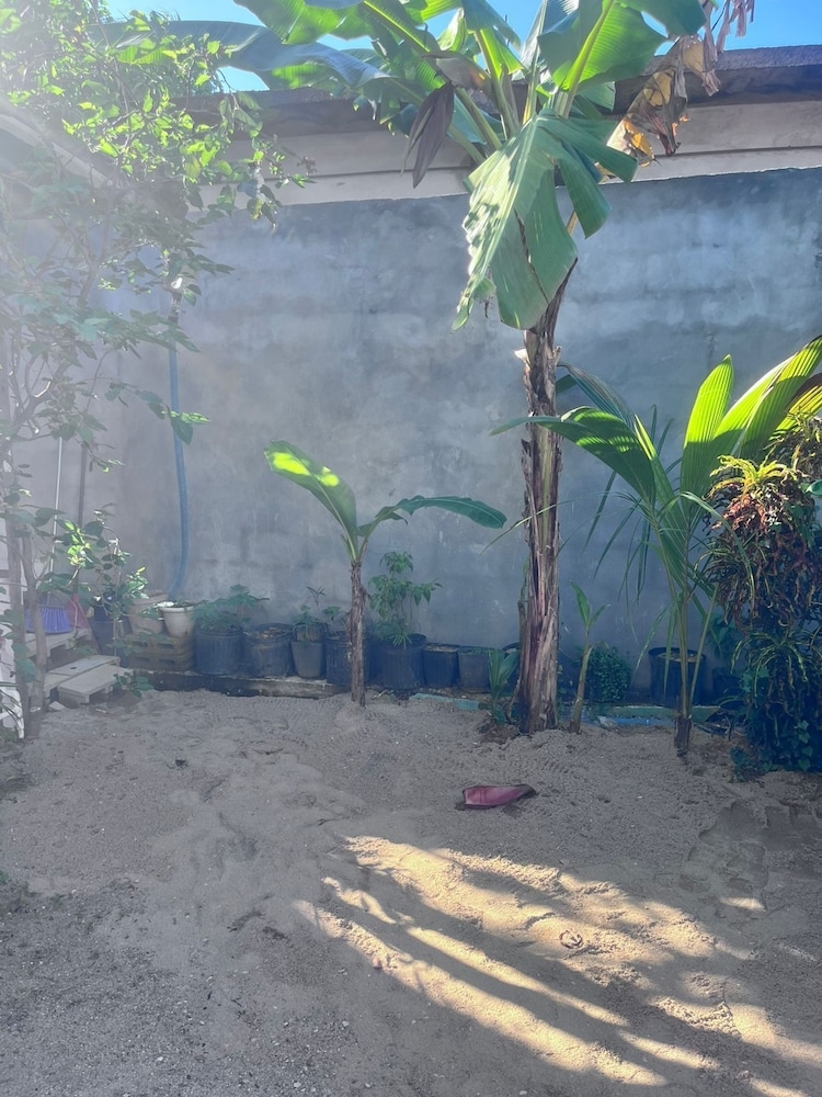 コートヤード ビュー