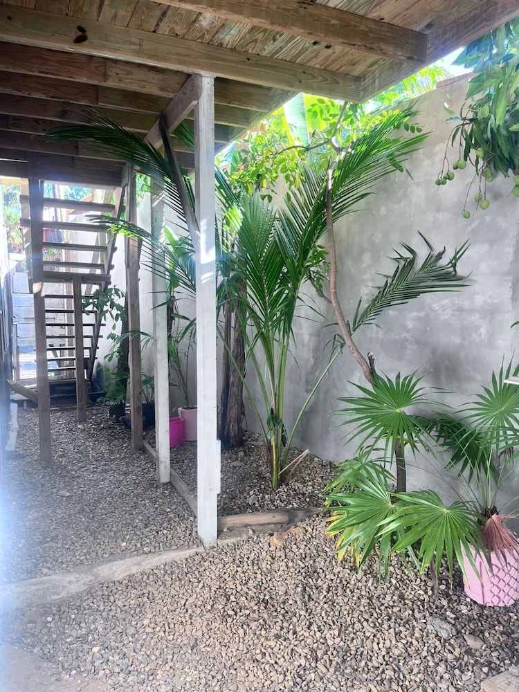 ガーデン ビュー