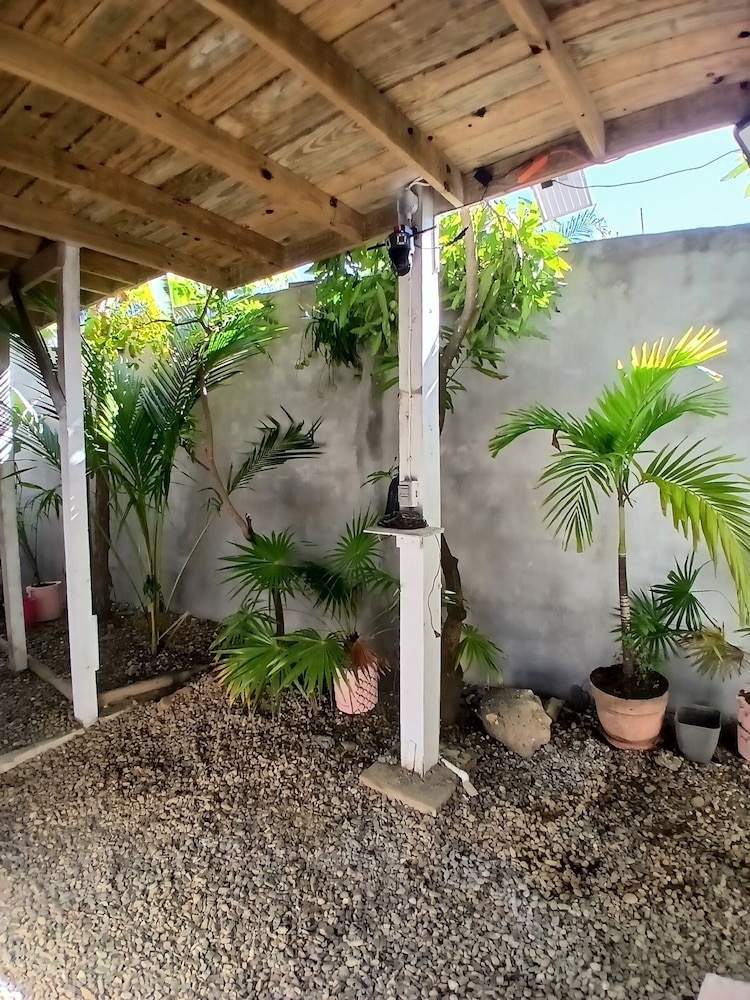 ガーデン ビュー