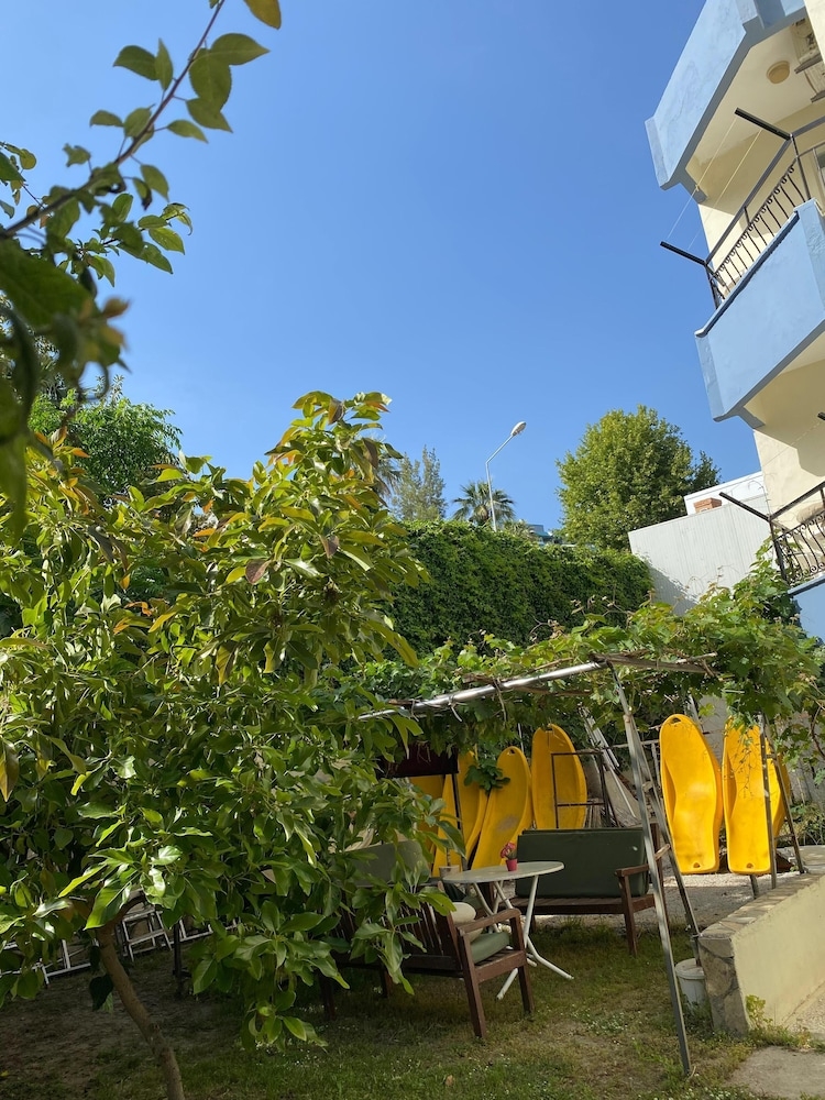 テラス / パティオ