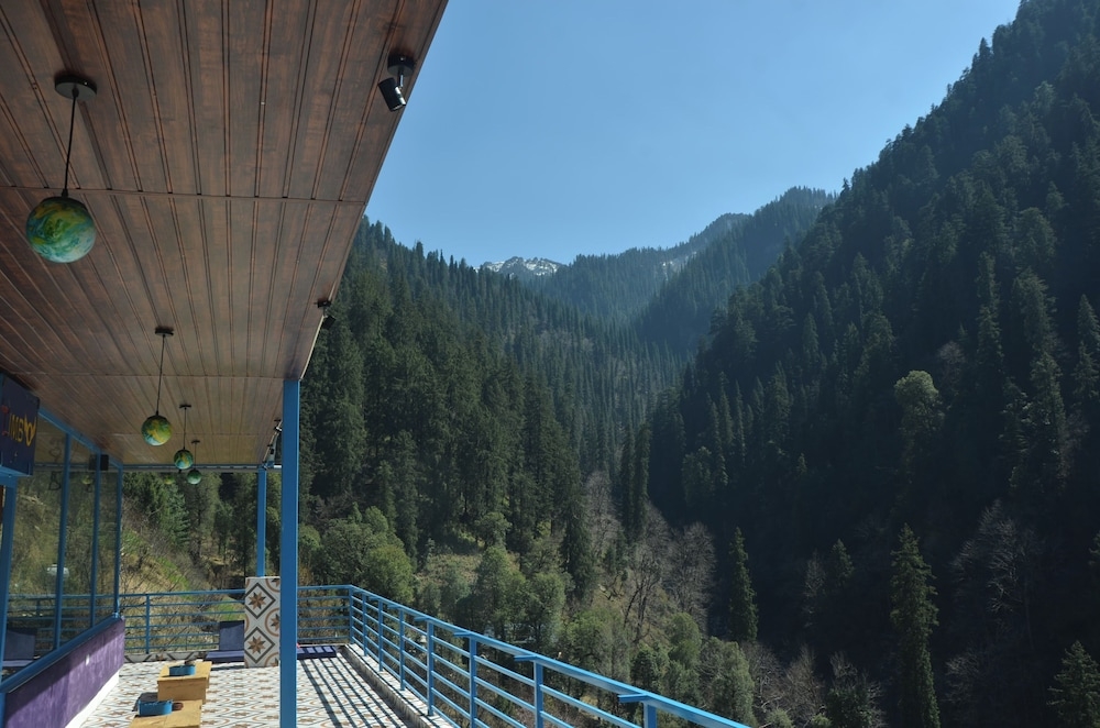 テラス / パティオ