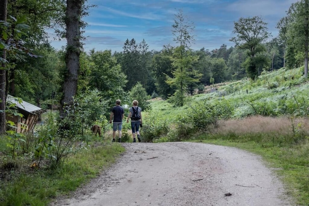 施設からの眺望