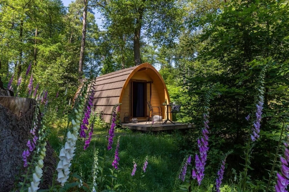 メイン イメージ