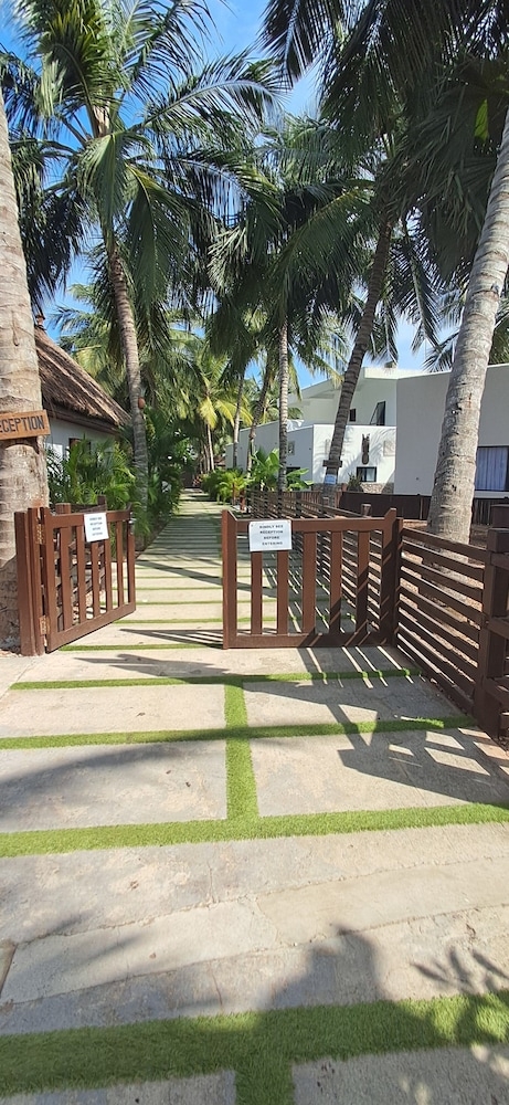 屋外バンケット スペース