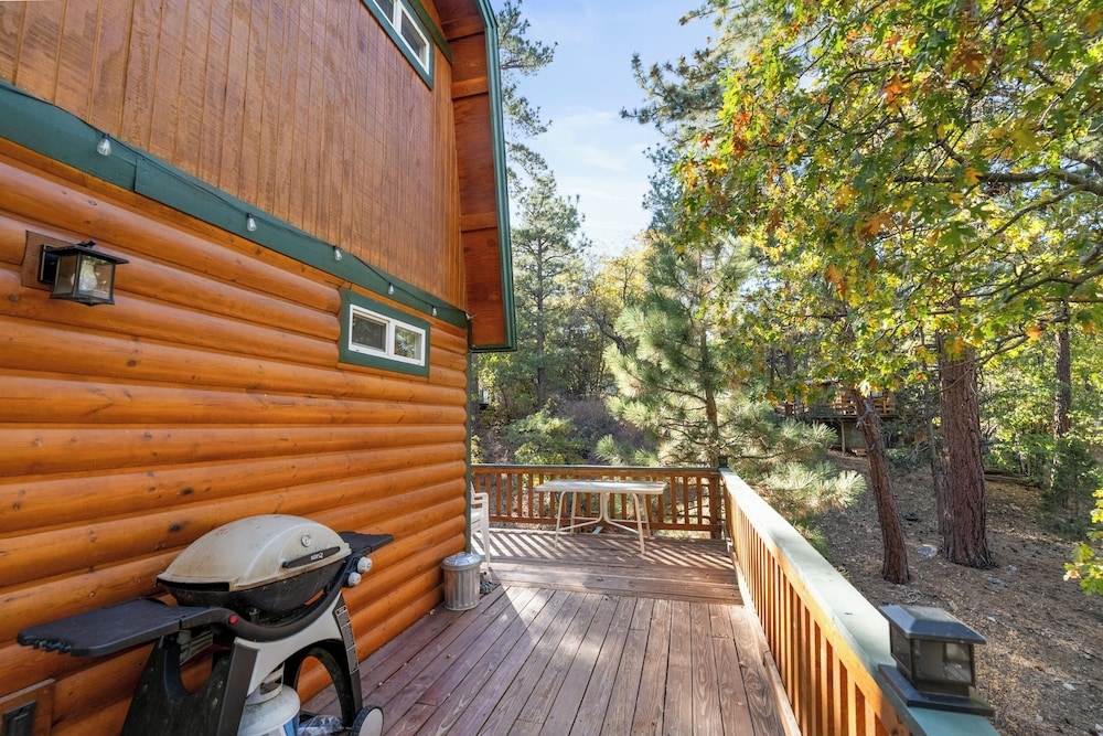 テラス / パティオ